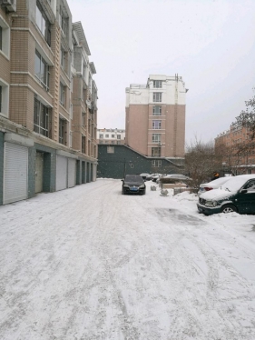 小區里的大雪