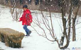 秒變冬日雪花飛，，，，，