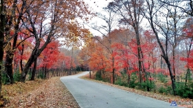 紅葉谷——續(xù)篇