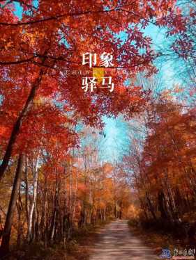 心猿驛馬
