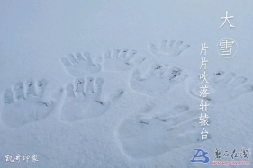 今日大雪