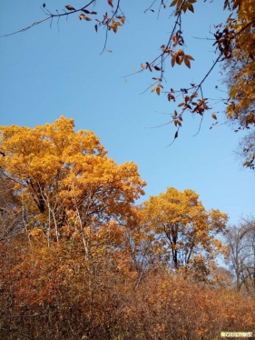 紅石山