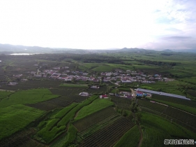 位于磐石市黑石鎮(zhèn)福安葡萄基地