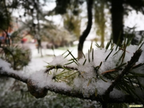 2016第一場雪，歡迎大家把雪景照片發來看看