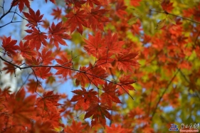 此貼無(wú)標(biāo)題請(qǐng)看內(nèi)容
