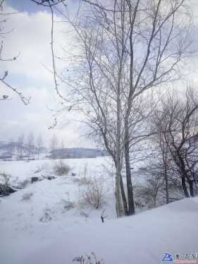 明城鎮下鹿村雪景，美不美?