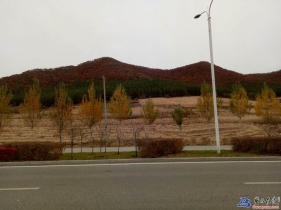 磐石市東山公園玉石涼亭子和換成的木 ...
