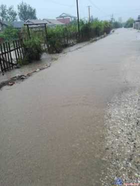 大雨小雨到黑石鎮(zhèn)里來看海