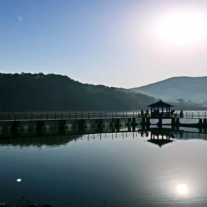 金宇湖