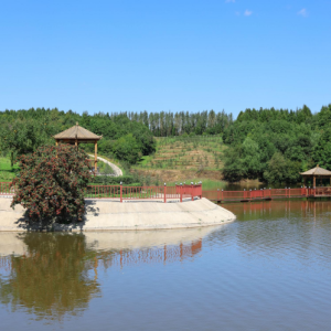 盛禾家庭農場